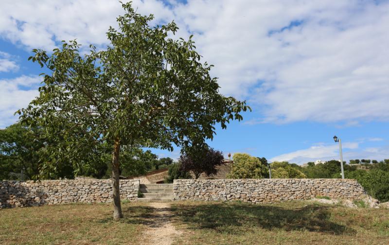 I tipici muretti a secco di Puglia ad Alberobello ai Trulli Panoramici